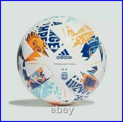 BALON OFICIAL ARGENTUM PRO 2020-21 AFA soccer ball Size 5 Fifa Approved