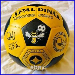 Circa 1981 Vintage NASL Chicago Sting Spalding Soccer Ball Signed by 5 Players