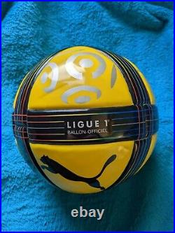 RARE Puma Ligue 1 2010-2011 winter ball (no Adidas Jabulani, no Teamgeist)